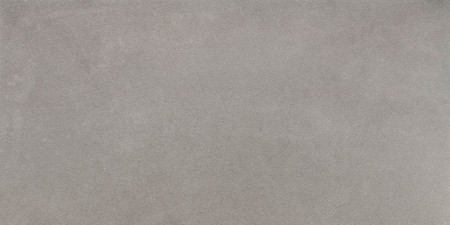 Tassero gris  30 x 60 матова