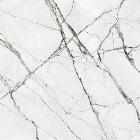 Ovation Light Grey  120 x 120 матова