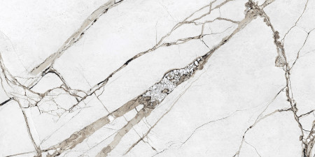 Ovation Light Grey  60 x 120 матова