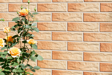 Gobi  6,5 x 24,5 матова