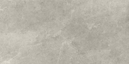 Tacoma silver  60 x 120 матова