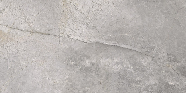 Masterstone Silver polished  60 x 120 глянцева - Cerrad