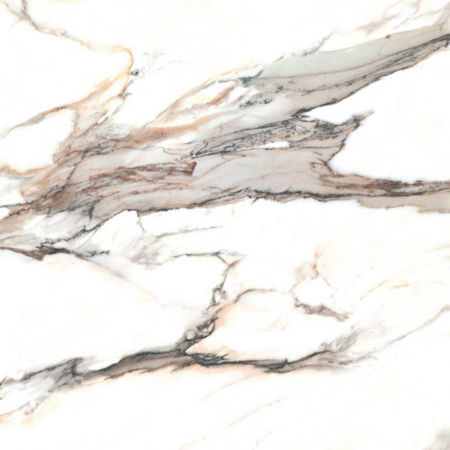 Calacatta gold  120 x 120 матова - Cerrad